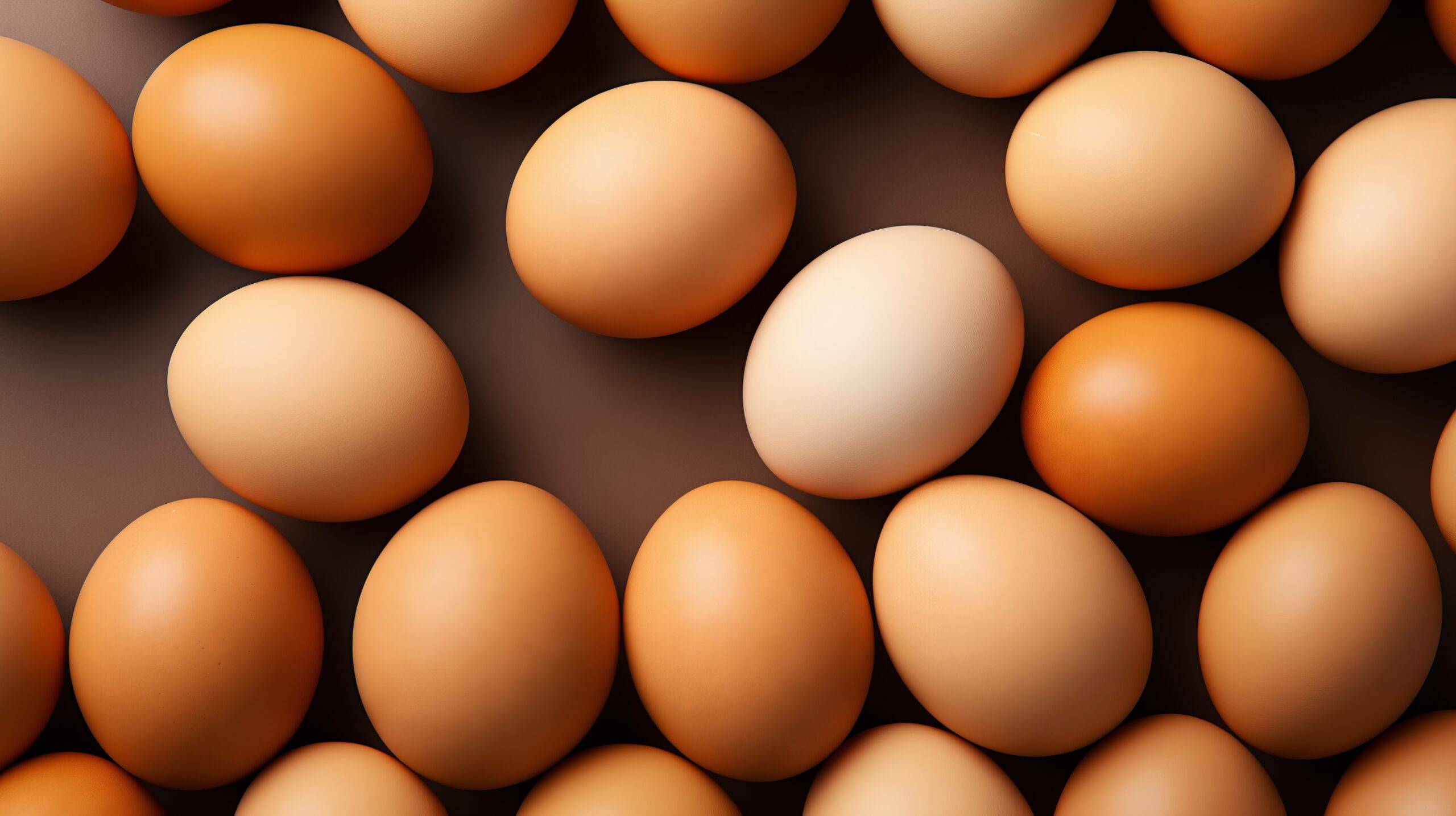 Egg Prices in South Korea Rise Above $5.30 per Carton as Avian Flu Fuels Supply Concerns