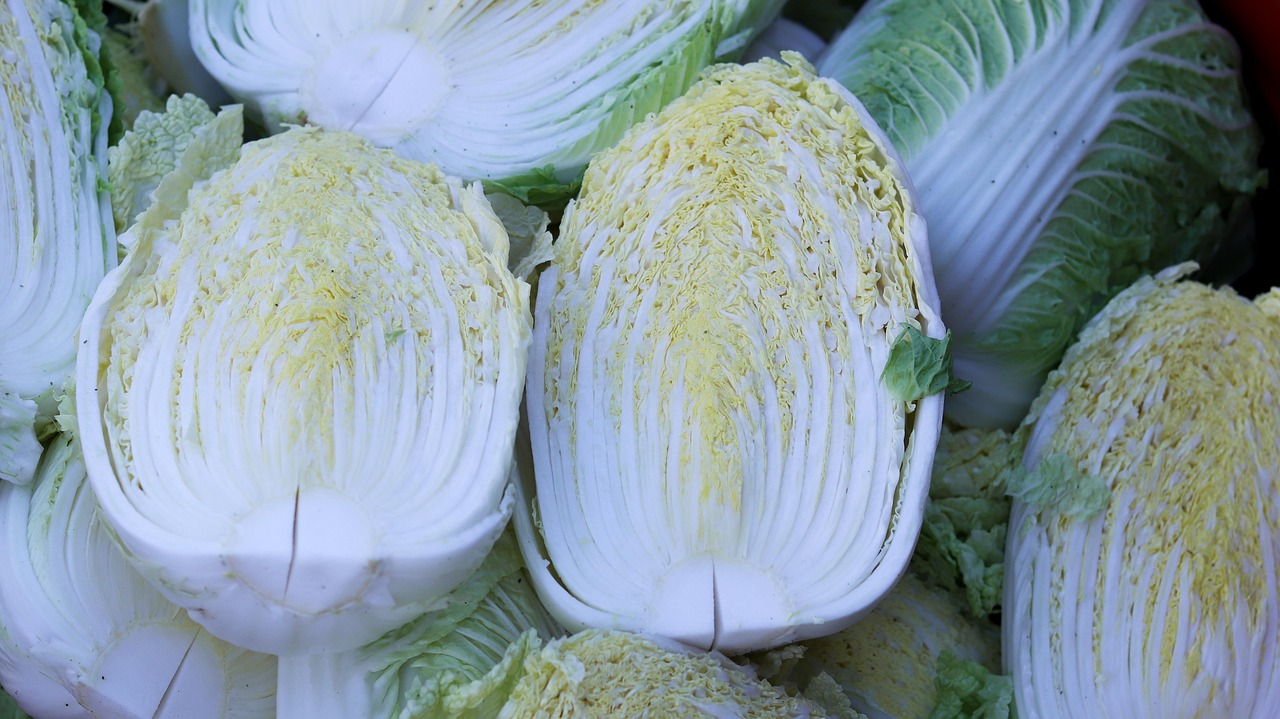 China’s Formaldehyde Cabbage Scare Raises New Supply Chain Risks for South Korea